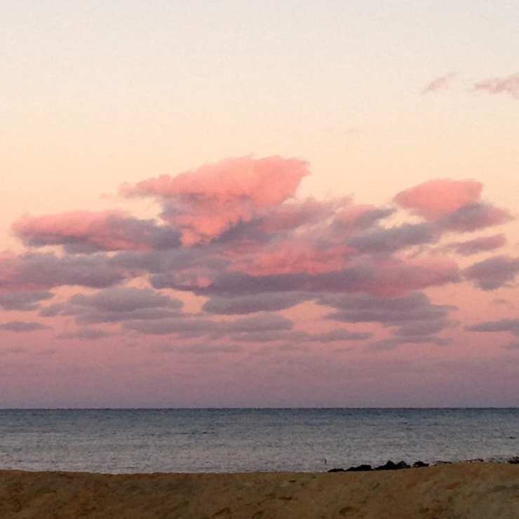 46522677_10218275367734774_1429254211463282688_n