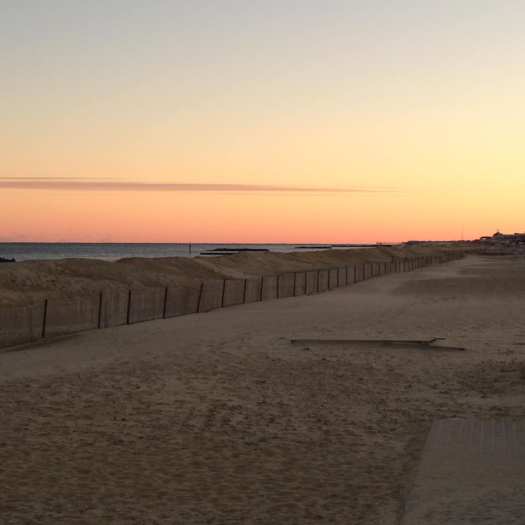 46742263_10218275367134759_1924132841663234048_n (1)