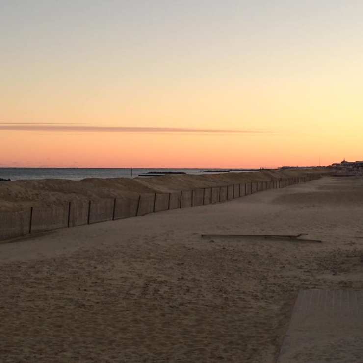 46742263_10218275367134759_1924132841663234048_n (1)